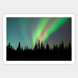 Alaskan Aurora Borealis Dream Sticker